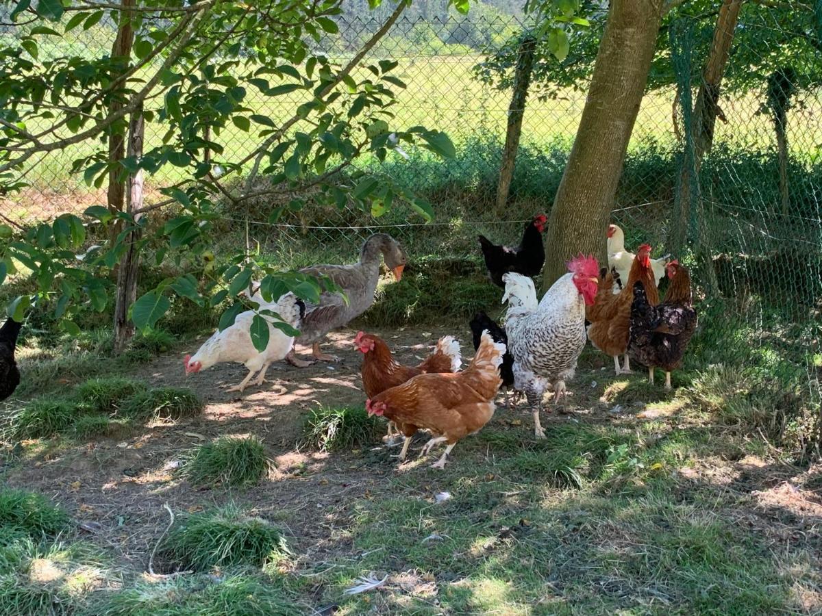 Urresti Casa di campagna Gautegiz Arteaga