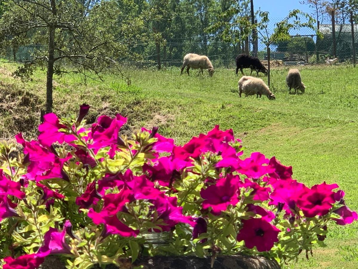 Agroturismo Urresti Gautegiz Arteaga
